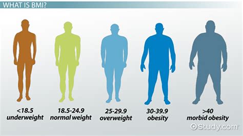 Physical Stature and Body Composition