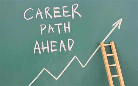 Professional Path and Successes