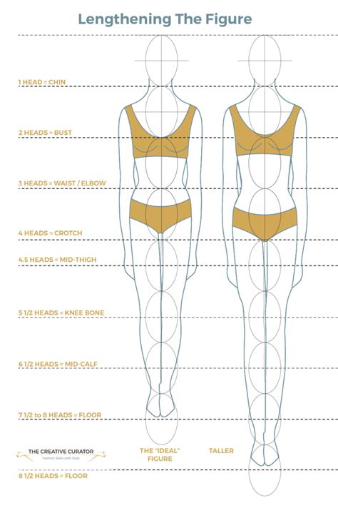 The Alluring Proportions: Exploring Summer Lena's Body Measurements