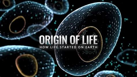The Beginning: Early Life and Background