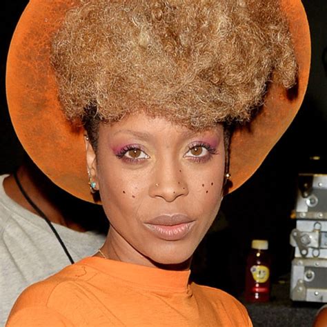 The Controversies and Political Activism of Erykah Badu