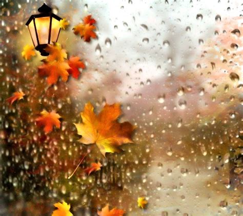 The Early Life and Background of Autumn Rain