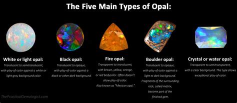 The Early Life and Background of Opal Reins