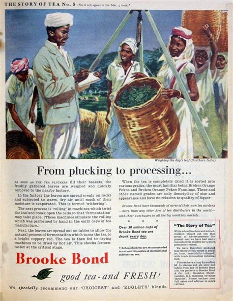 The Early Life and Career of Brooke Bond