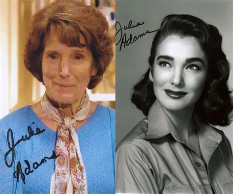 The Enduring Impression of Julie Adams - Her Impact on the Entertainment Industry