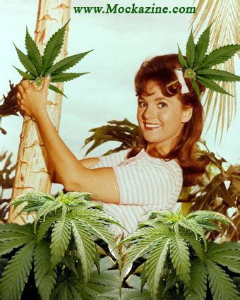 The Enduring Influence: Mary Jane's Impact on Pop Culture