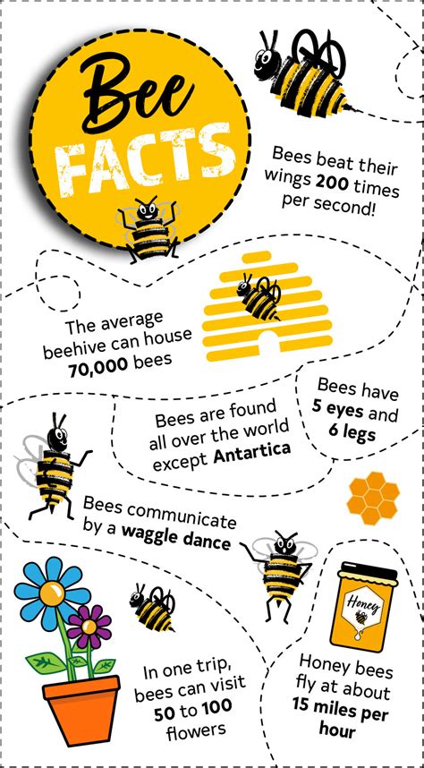 The Height of Yara Bee: Facts and Figures
