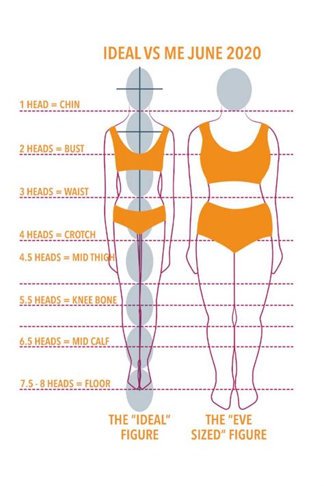 The Ideal Body: Insights into Klaudia Diamond's Physical Proportions