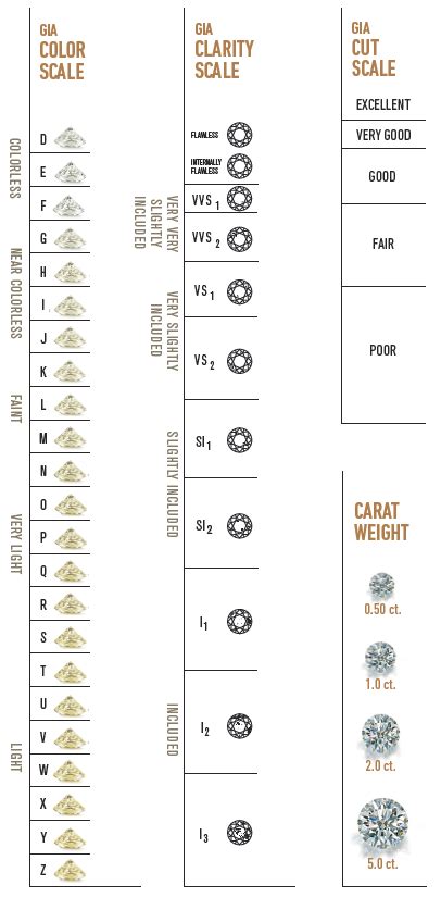 The Impact of Vertical Measurements on Gia's Professional Trajectory