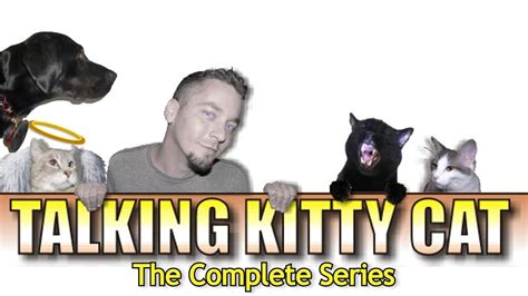 The Journey of the Talking Kitty Cat Series