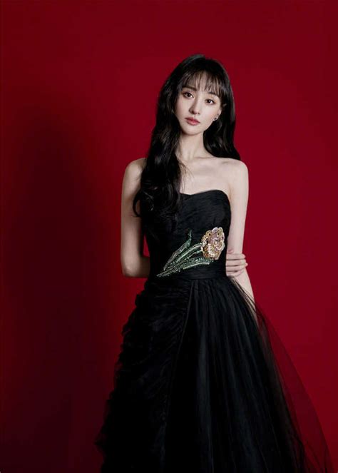 The Journey to Stardom: Zheng Shuang's Acting Career