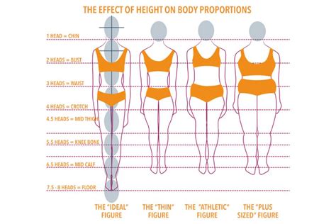 The Perfect Figure: Analyzing Lucy Shy's Body Proportions and Their Influence in the Entertainment Industry