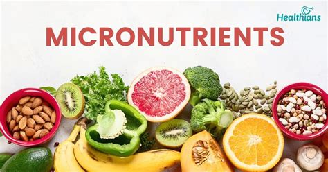 The Role of Micronutrients in Achieving a Well-Balanced Eating Routine