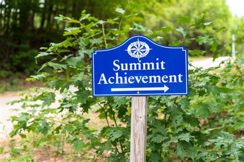 The Summit of Achievement: Annie Mine's Professional Journey