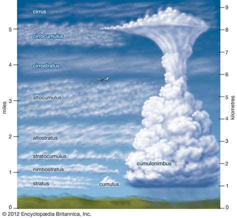 Towering Over Others: Viivi Clouds' Impressive Height