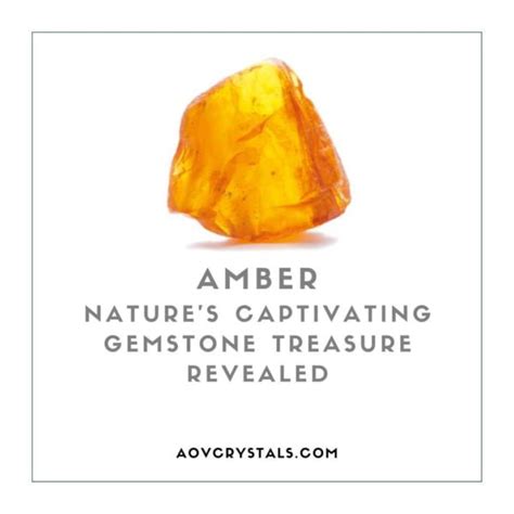 Unraveling the Mystique: Journey into Amber's Captivating Essence