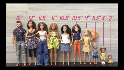 Unveiling Barbie's Height and Figure