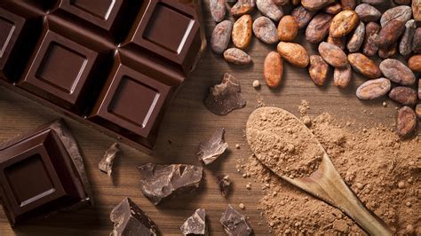 Unveiling the Ancient Origins of Chocolate