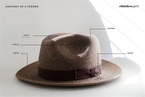 Unveiling the Height of Fedra A Fedora