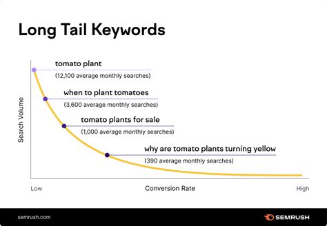 Utilize Long-Tail Keywords