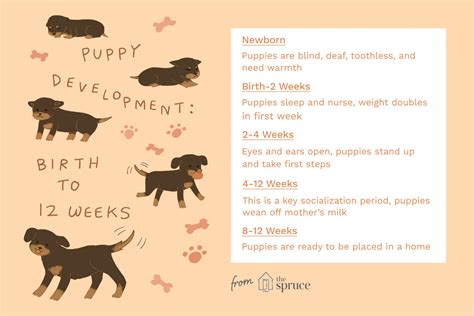 Victoria Puppy's Age and Personal Facts