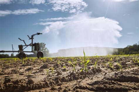 Water scarcity and its influence on agricultural systems