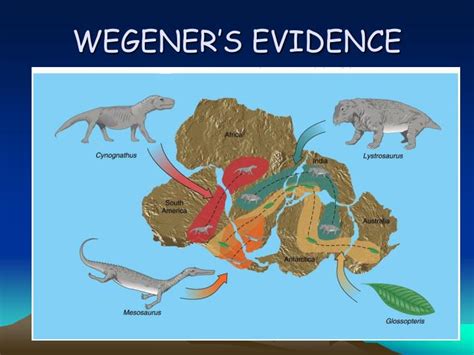 Wegener's Evidence for the Movement of Continents