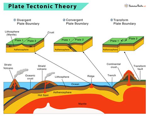 Wegener's Influence on the Theory of Plate Tectonics